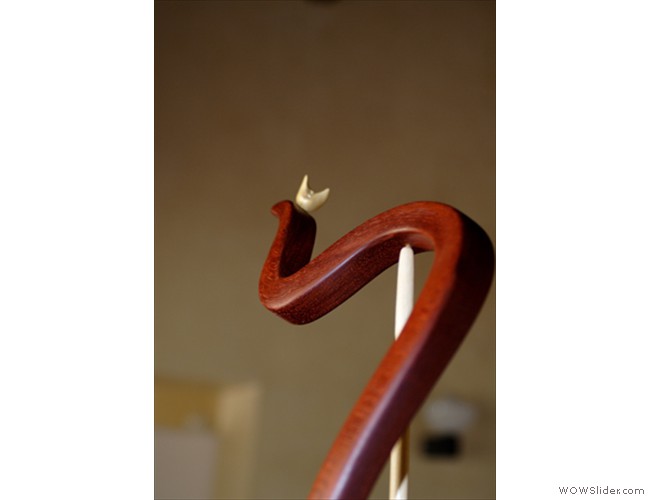 Serpentarius